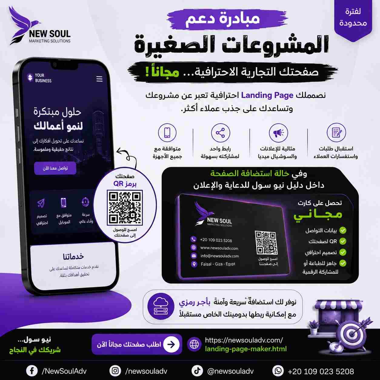 مبادرة نيو سول لدعم المشروعات الصغيرة